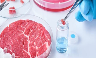 Лабораторный анализ пищевых продуктов по СанПиН в Спасске-Дальнем в октябре