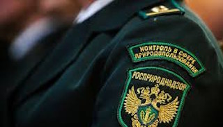 Подготовка к проверке Росприроднадзора в Спасске-Дальнем от ПромМир-Спс, стоимость услуги от 20694 руб.